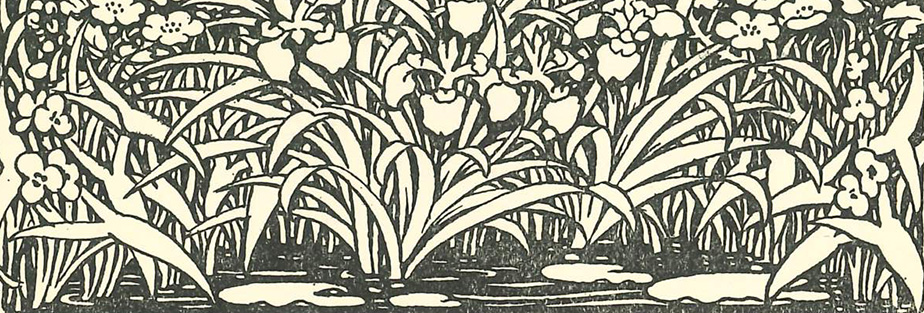 Black and white illustration of flowers along a pond.