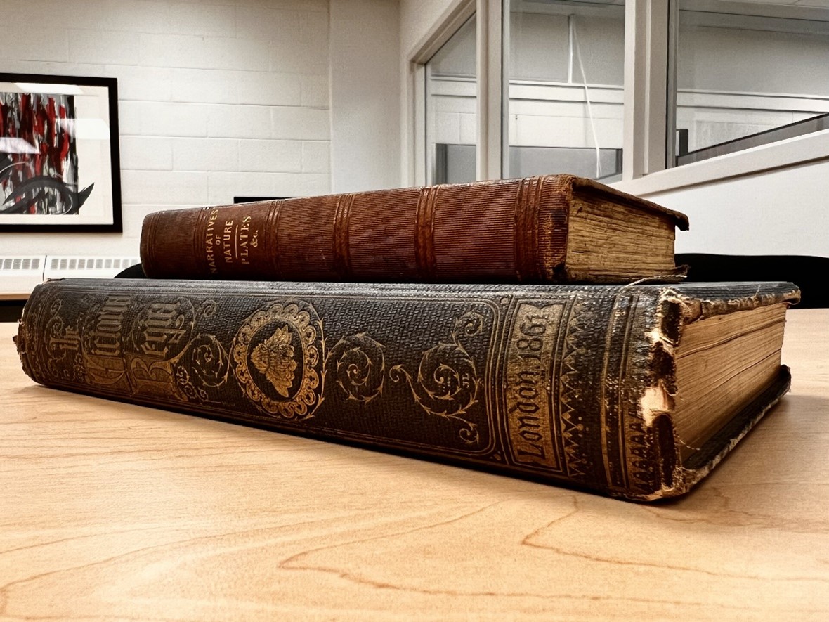 Two old books on table. The spines of the books are textured with finery, with one dated 1861