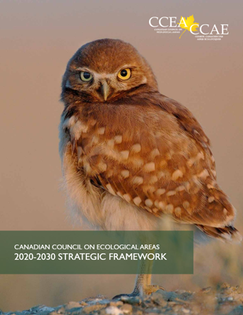 Cover of Canadian Council of Ecological Areas, 2020-2030 Strategic Framework. Owl with smooth feathers and wide eyes