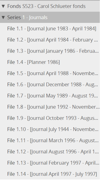 Chart illustrating file list within series 1 of the Carol Schlueter fonds. Fourteen files are listed.