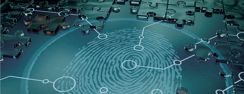 Image of a fingerprint with sections circled and pointing to parts of a larger puzzle