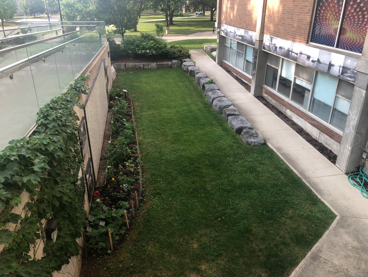 View of sunken garden from entrance ramp; a concrete ramp into the sunken garden area that has grassy area and large stones by edge of ramp to sit on