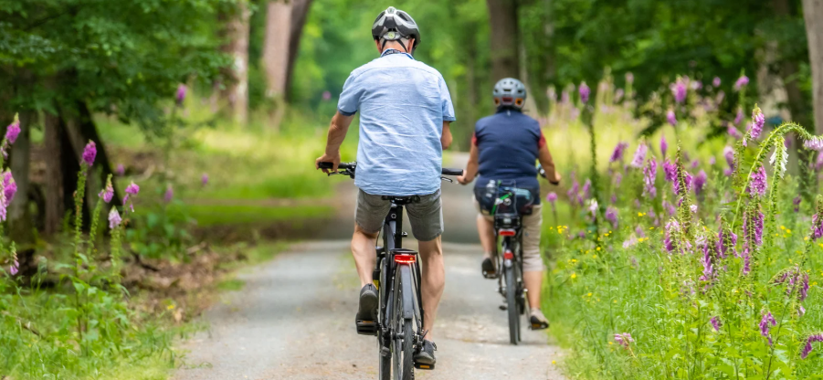 Two people ride bicycles down a beautiful forest trail.