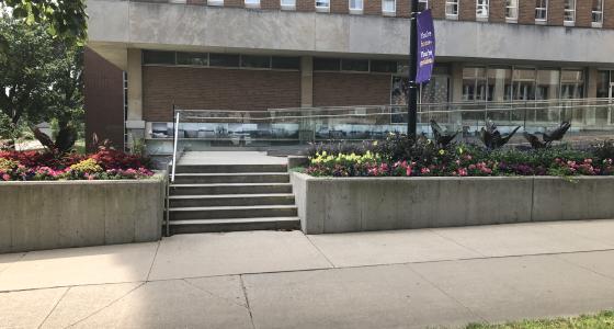 Front entrance to library, stairs and ramp. Floors in summer