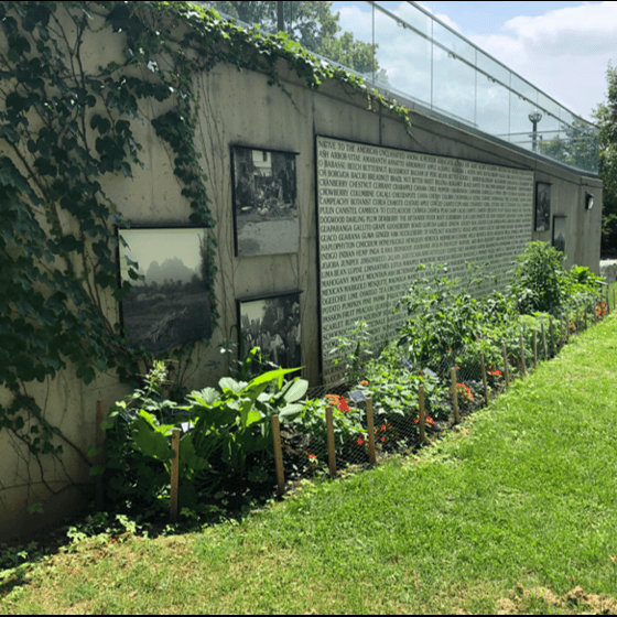 Warm sun, soft grass and a garden, in the space between the library ramp to entrance and the building. Part of the Transmission exhibit.